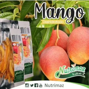 Mango deshidratado 30 g