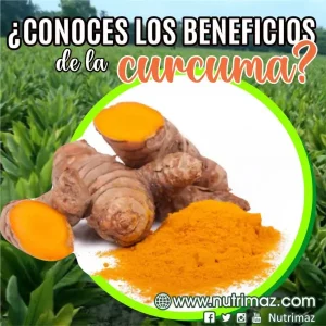 Cúrcuma en polvo 50 g