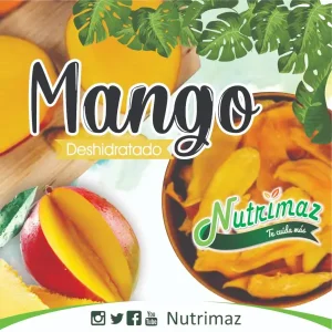 Mango deshidratado 500 g